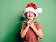 Cheerful boy in red Santa hat with fir branches looking at camera with eyes wide open — Stock Photo