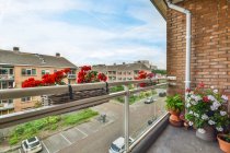 Вид на місто з балкона, прикрашеного різноманітними квітами в горщиках в літній день — стокове фото