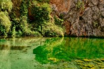 Lago dalle acque trasparenti immerso nel verde in una giornata di sole — Foto stock