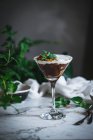 Склянку солодкого мусу з шоколадом і кокосовим горіхом прикрашають листя м'яти і кладуть на стіл з зеленими рослинами — стокове фото