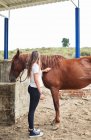 Donna seria petting cavallo con briglia in mano mentre in piedi su terreno sabbioso vicino barriera e piante alla luce del giorno in azienda agricola — Foto stock