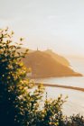 Espectacular vista a través de ramas de plantas verdes en aguas tranquilas del Golfo de Vizcaya con formaciones rocosas ubicadas en San Sebastián en España en un día soleado - foto de stock