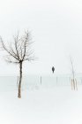 Distante persona irreconocible de pie en la deriva de nieve cerca de la valla y árboles sin hojas en el día de invierno nebuloso en Madrid - foto de stock