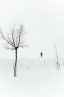 Personne loin méconnaissable debout sur la dérive des neiges près de la clôture et des arbres sans feuilles dans la journée brumeuse d'hiver à Madrid — Photo de stock