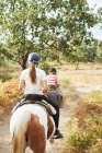 Вид на безликих людей в колпаках и повседневной одежде, сидящих в седле на лошадях с уздечками во время езды возле деревьев и растений в лесу в дневное время — стоковое фото