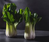 Bok choy frais sain choux légumes feuilles placés sur la table noire sur fond sombre — Photo de stock