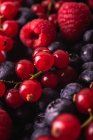 Primer plano de deliciosas bayas rojas maduras dulces frescas surtidas - foto de stock