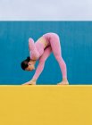 Seitenansicht einer fitten Frau in pinkfarbener Sportbekleidung, die Yoga im Stand Forward Bend auf blauem und gelbem Hintergrund praktiziert — Stockfoto