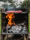 Vários tipos de salsichas saborosas assar na grelha acima do carvão vegetal no campo durante o churrasco no campo no dia de verão — Fotografia de Stock