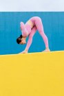 Vista lateral da fêmea em forma de sportswear rosa praticando ioga em pé para a frente Dobre pose no fundo azul e amarelo — Fotografia de Stock