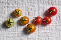 Vista dall'alto della linea a zig zag di pomodorini verdi e maturi che mostrano la fase di maturazione su garza bianca — Foto stock