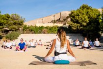 Back view of unrecognizable people in sport clothes sitting on mats and doing Padmasana while practicing yoga in yard in summer — Stock Photo