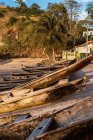 Ряд старих дерев'яних човнів пришвартованих на піщаному узбережжі океану проти тропічних рослин на острові Так Том і Принсіпі в сонячний день. — стокове фото