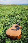 Acoustic guitar placed on green grass growing in nature in daylight — Stock Photo