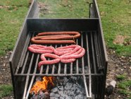 Vari tipi di gustose salsicce arrosto su griglia griglia sopra carbone in campagna durante il barbecue in campagna durante la giornata estiva — Foto stock