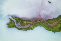 Drone vista di formazioni rocciose brune grezze circondate da lussureggianti piante verdi coperte da fitta nebbia nella natura dell'Islanda — Foto stock