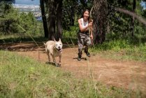 Все тело активной владелицы бегает по сельской дороге с верной собакой во время тренировки в роще в летний день — стоковое фото