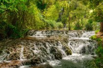 From below waterfall under the trees on a sunny day — Stock Photo
