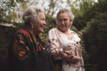 Ancianas vistiendo ropa casual y conversando mientras caminan juntas en el jardín de verano cerca de arbustos verdes de rosas en un día nublado - foto de stock