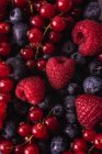 Fechar-se de deliciosas bagas vermelhas maduras doces frescas sortidas — Fotografia de Stock