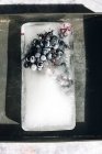 Draufsicht auf ein Stück Eis mit Trauben, die bei Sonneneinstrahlung auf einem Metalltablett platziert werden — Stockfoto
