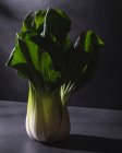 Sano fresco bok choy cavolo foglia vegetale posto sul tavolo nero contro sfondo scuro — Foto stock