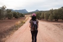 Вид сзади на полное тело азиатской путешественницы ходьба, стоя на плантации с пышными зелеными оливковыми деревьями — стоковое фото
