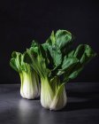 Bok choy frais sain choux légumes feuilles placés sur la table noire sur fond sombre — Photo de stock