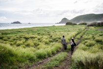 Vue arrière d'amis méconnaissables musiciens marchant avec des guitares sur le sentier parmi l'herbe verte sur la côte près de l'océan en journée — Photo de stock