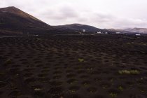 Vista del dron de las vides que crecen en pozos contra altas montañas secas y carreteras en Geria Lanzarote Islas Canarias España - foto de stock