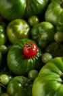 Um tomate de baga maduro sobre um monte de tomates verdes — Fotografia de Stock