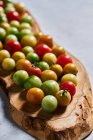 Tomates cerises rouges mûres et non mûres récoltées à la ferme pendant la saison de récolte — Photo de stock