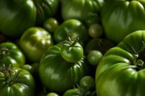 Підстрижений ягідний помідор над купою зелених помідорів — стокове фото