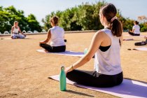 Бічний вид на молоду спокійну жінку в активаційному одязі, що робить Падмасану, сидячи на йога маті під час тренувань на відкритому повітрі в сонячний день. — стокове фото