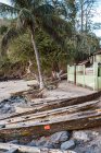 Ряд старых деревянных лодок пришвартованы на песчаном пляже океана против зеленых тропических растений на острове Со Том и Прнсипи в солнечный день — стоковое фото