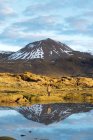 Обратный вид на неузнаваемого туриста-мужчину в повседневной одежде, любующегося дикой природой, стоя возле мирного озера, отражающего снежные горы Исландии — стоковое фото