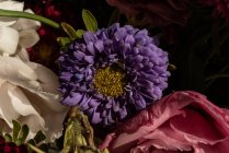 Bouquet di fiori freschi tra cui gigli bianchi eustoma e aster in vaso di vetro al sole — Foto stock