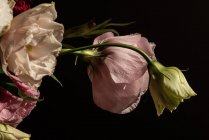 Аромат свежих цветов, включая розы и белые лилии, эустома и астер в стеклянной вазе на солнце — стоковое фото