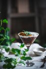 Склянку солодкого мусу з шоколадом і кокосовим горіхом прикрашають листя м'яти і кладуть на стіл з зеленими рослинами — стокове фото