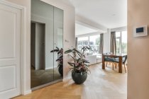 Modernes Wohnzimmerinterieur mit Einbauschrank und Pflanze gegen Tisch mit Stühlen im Haus — Stockfoto