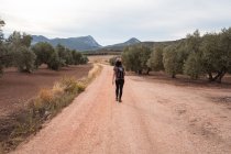 Visão traseira de corpo inteiro de viajante feminino asiático andando de pé na plantação com oliveiras verdes exuberantes — Fotografia de Stock