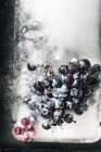 Вид сверху куска льда с виноградом, помещенным на металлическую лодку при солнечном свете — стоковое фото
