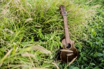 D'en haut ukulélé en bois élégant placé parmi l'herbe verte poussant dans le champ dans la nature en plein jour — Photo de stock