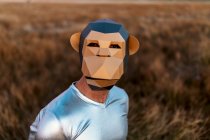 Anonymous person in geometric monkey mask looking at camera in yellow field on blurred background — Stock Photo