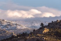 Жорсткі камені, вкриті мохом і чагарниками, розташовані на вершині засніженої гори в Національному парку Сьєрра - де - Гуадаррама в Мадриді (Іспанія). — стокове фото