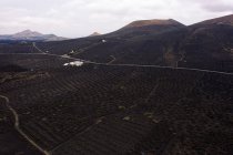 Vue de drone de vignes poussant dans des fosses contre les hauts monts secs et les routes à Geria Lanzarote Îles Canaries Espagne — Photo de stock