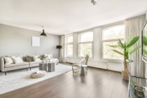 Інтер'єр просторого лаунжу з сірими меблями і бежевою паркетною підлогою в квартирі в мінімальному стилі — стокове фото