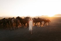 Femme blonde en robe blanche regardant loin avec troupeau de chevaux dans le champ sous le coucher du soleil — Photo de stock