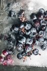 Vue de dessus du morceau de glace avec des raisins placés sur un plateau métallique à la lumière du soleil — Photo de stock