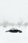 Schwarzes Auto unter blattlosen Bäumen bei Schneefall an bewölkten Wintertagen in Madrid — Stockfoto